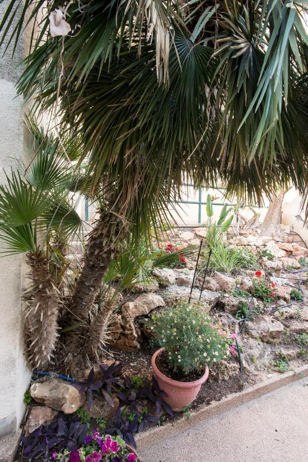 Eshkol Housing Haifa - Luxury Villa Panoramic Sea View Dış mekan fotoğraf